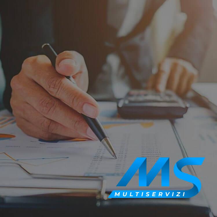 MS Multiservizi