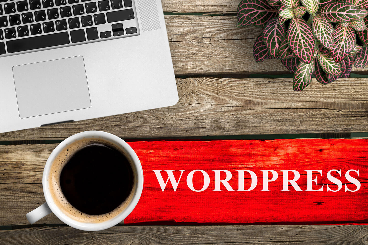 Sito WordPress: dalla pianificazione alla messa online